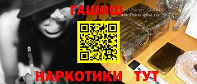 гашик Моздок