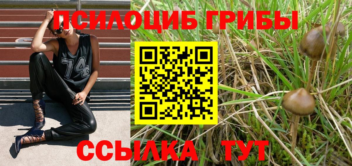 Заинск  Галлюциногенные грибы Magic Shrooms  Вход с VPN 