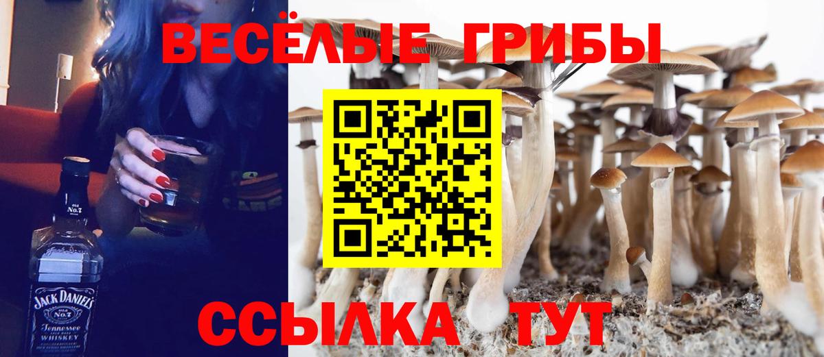 Псилоцибиновые грибы прущие грибы Заинск